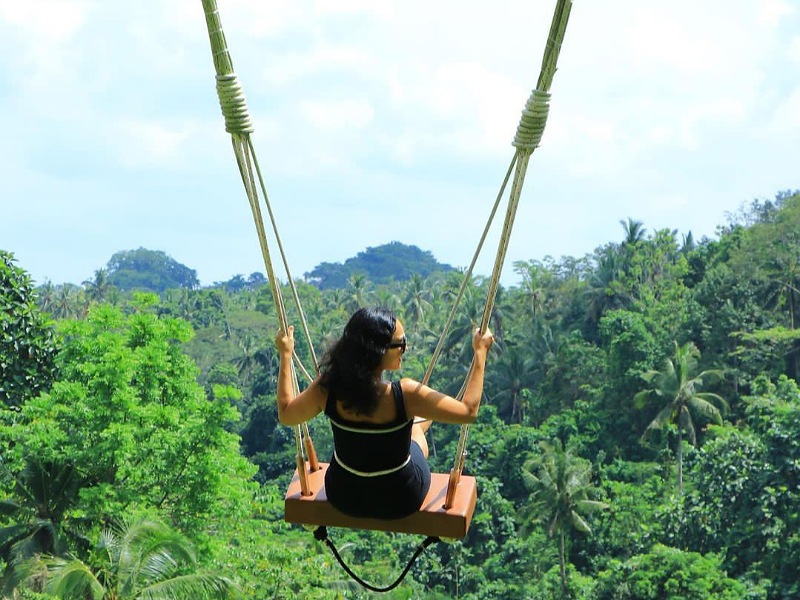 ubud jungle swing
